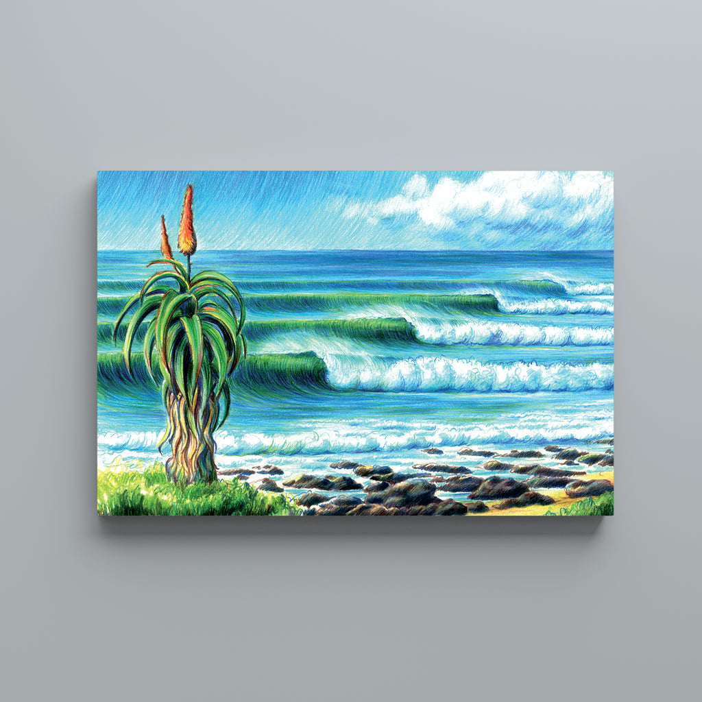 Aloe at Supertubes